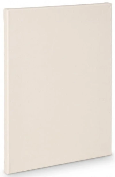 Toile artiste standard - 9x12po