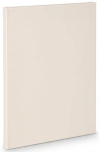 Toile artiste standard - 9x12po