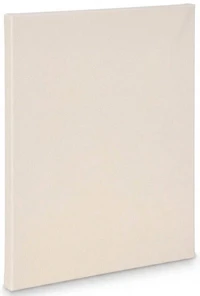 Artist canvas standard - 11x14"