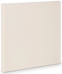Toile artiste standard - 16x16po