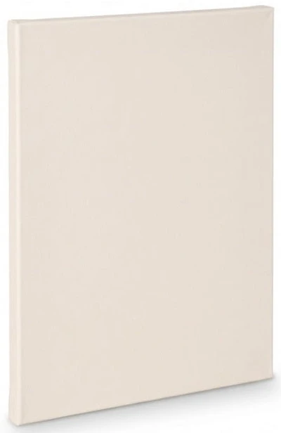 Artist canvas standard - 18x24"