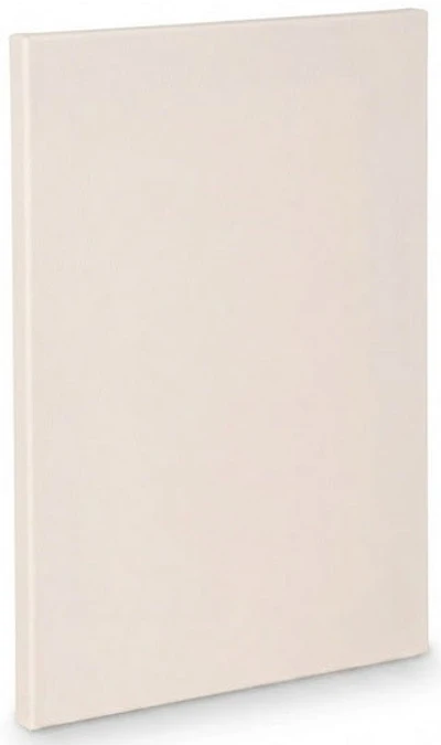 Toile artiste standard - 18x30po