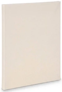 Toile artiste standard - 22x28po