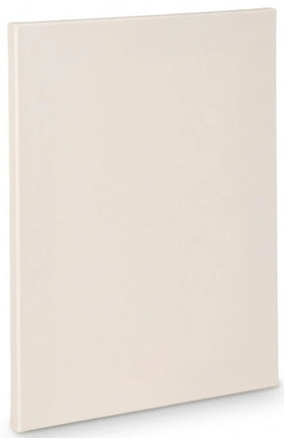 Toile artiste standard - 24x40po