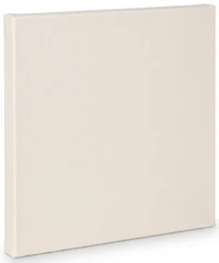 Toile artiste standard - 30x30po