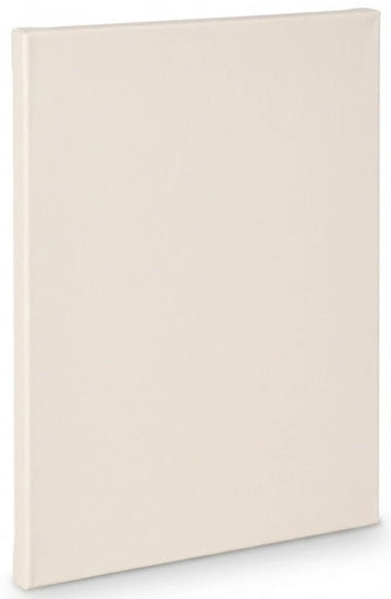 Toile artiste standard - 30x40po