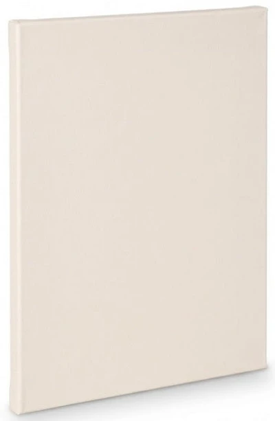 Toile artiste standard - 30x40po