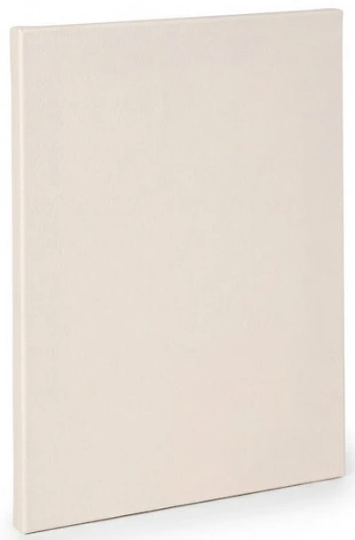 Toile artiste standard - 40x60po