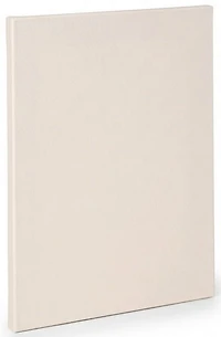 Toile artiste standard - 40x60po