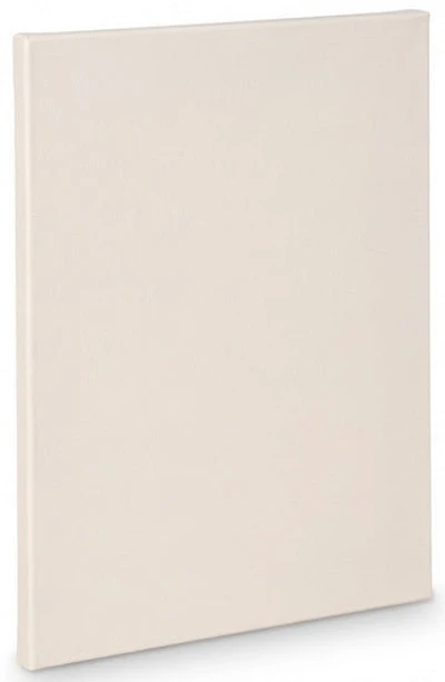 Toile artiste standard - 48x60po