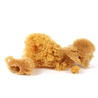 Ens. 3 éponges de soie