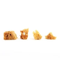 Ens. 3 éponges jaunes