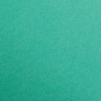 Pap.cartonne maya a4 270g vert sapin