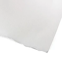 Feuille papier aquarelle - 140lb - cp - 22x30po