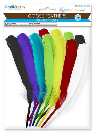 12 Goose feathers - 20.3cm