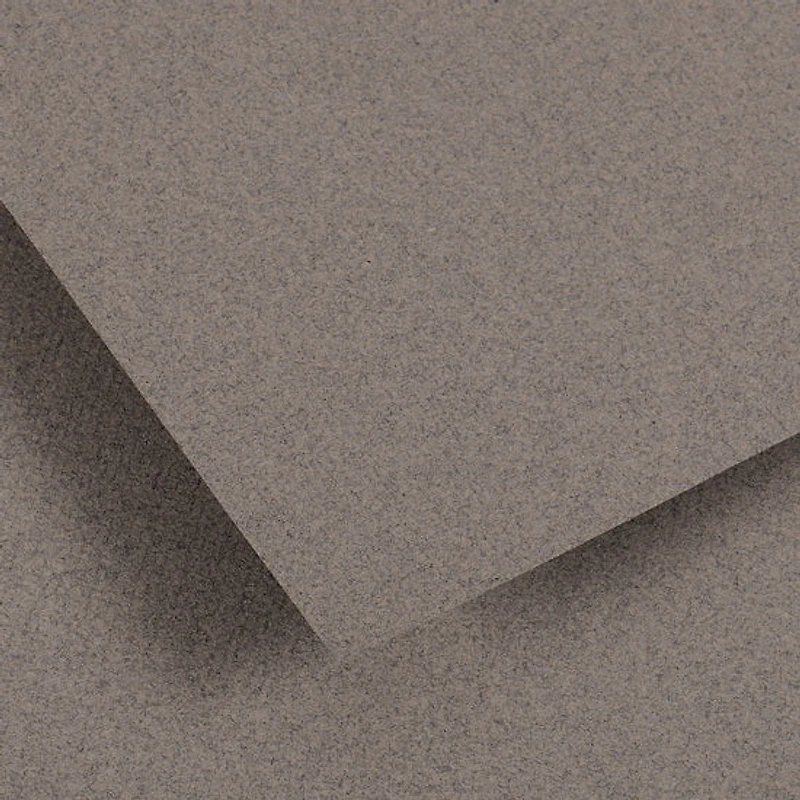 Ingres paper sheet - 50x65cm - gray