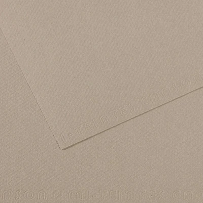 Colored paper - 160gsm - mi-teintes - 50x60cm - flannel gray