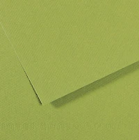 Papier couleur - 160gsm - mi-teintes - 50x60cm - vert pomme