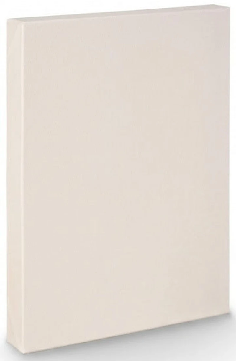 Toile de luxe - 30x48po