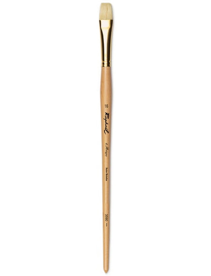 Oil paintbrush - hog hair - d'artigny