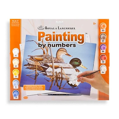 Paint By Numbers Mallards
