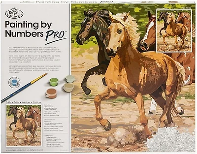 Paint By Number Galloping Horse