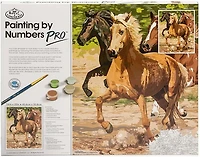 Paint By Number Galloping Horse