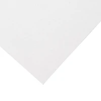 Heavyweight Bristol Paper White - 22x28"
