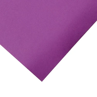 Heavyweight Bristol Paper Magenta - 22x28"
