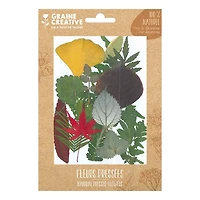 Natural Pressed Flowers - Forest 1, 15 Pieces
