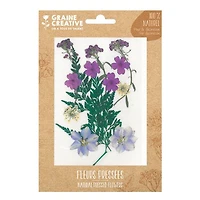 Natural Pressed Flowers - Purple Meadow, 13 Pieces
