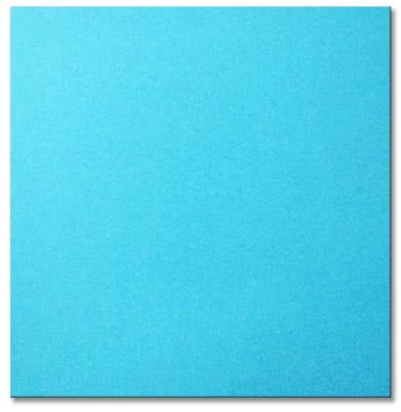 Heavyweight Bristol Paper Blue - 22x28"