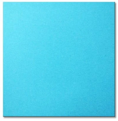 Heavyweight Bristol Paper Blue - 22x28"