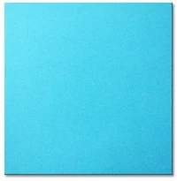 Heavyweight Bristol Paper Blue - 22x28"