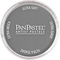 Pastel panpastel - 9ml nuance gris neutre