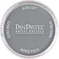 Pastel panpastel - 9ml teinte gris paynes