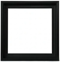 Cadre flottant musée noir - 20x20po