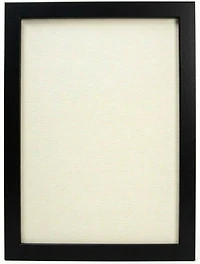 Floating picture frame 12x18 black