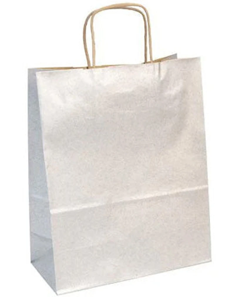 Kraft Gift Bag - SILVER LITER - 22 X 10 CENTIMETERS