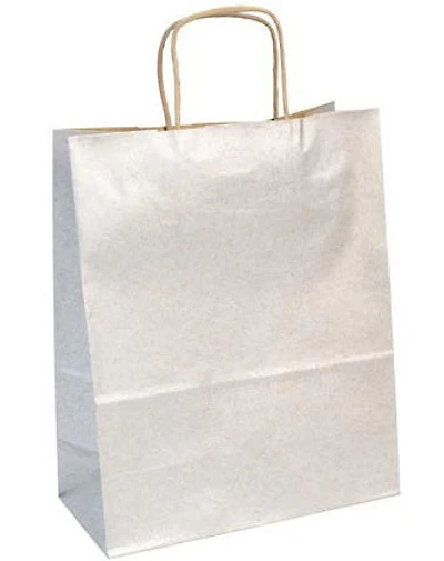 Kraft Gift Bag - SILVER LITER - 22 X 10 CENTIMETERS
