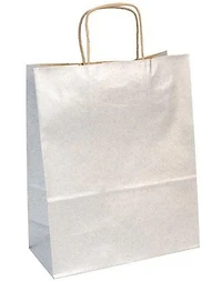 Kraft Gift Bag - SILVER LITER - 22 X 10 CENTIMETERS