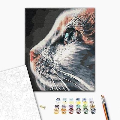 Paint by Number Cat
