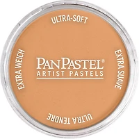 Pastel panpastel - 9ml bronze