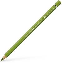 Crayon aquarellable albrecht dürer terre vert jaunâtre