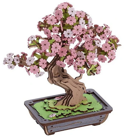 Bonsai Sakura