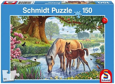Chevaux dans le ruisseau 150mcx
