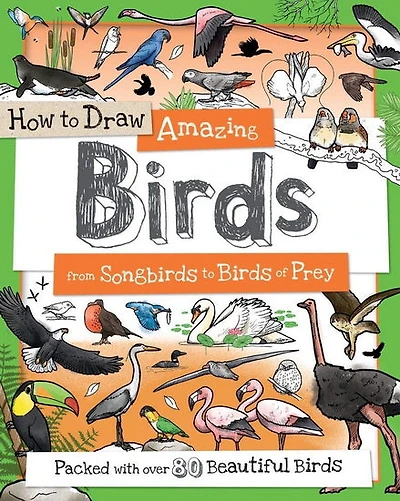 How to Draw Amazing Birds