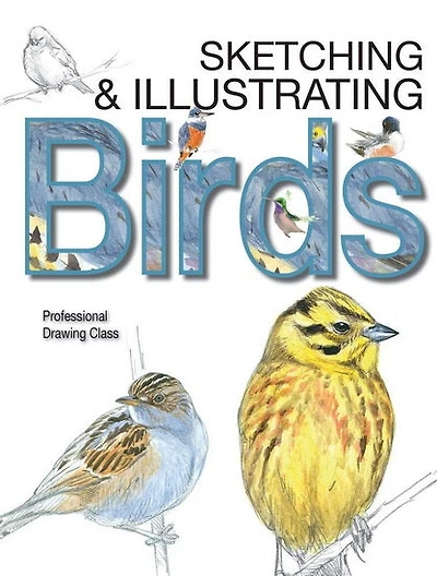 Sketching and Illustrating Birds: Professional Drawing Class