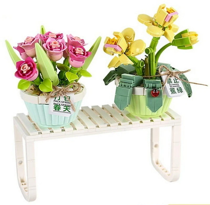 Tulipe et orchidée en pot