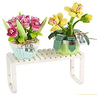 Tulipe et orchidée en pot